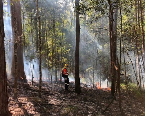 Bushfire Assessment And Planning - Biodiverse Environmental