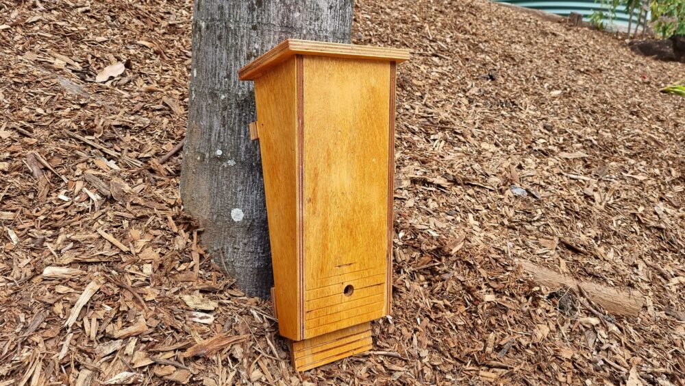 new-biodiverse-nest-box4